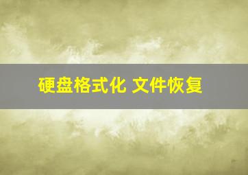 硬盘格式化 文件恢复